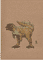 dinosaurs-v-psittacosaurus-2025-a5